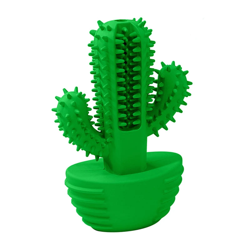 Cacto Mordedor Limpa Dente para Cão