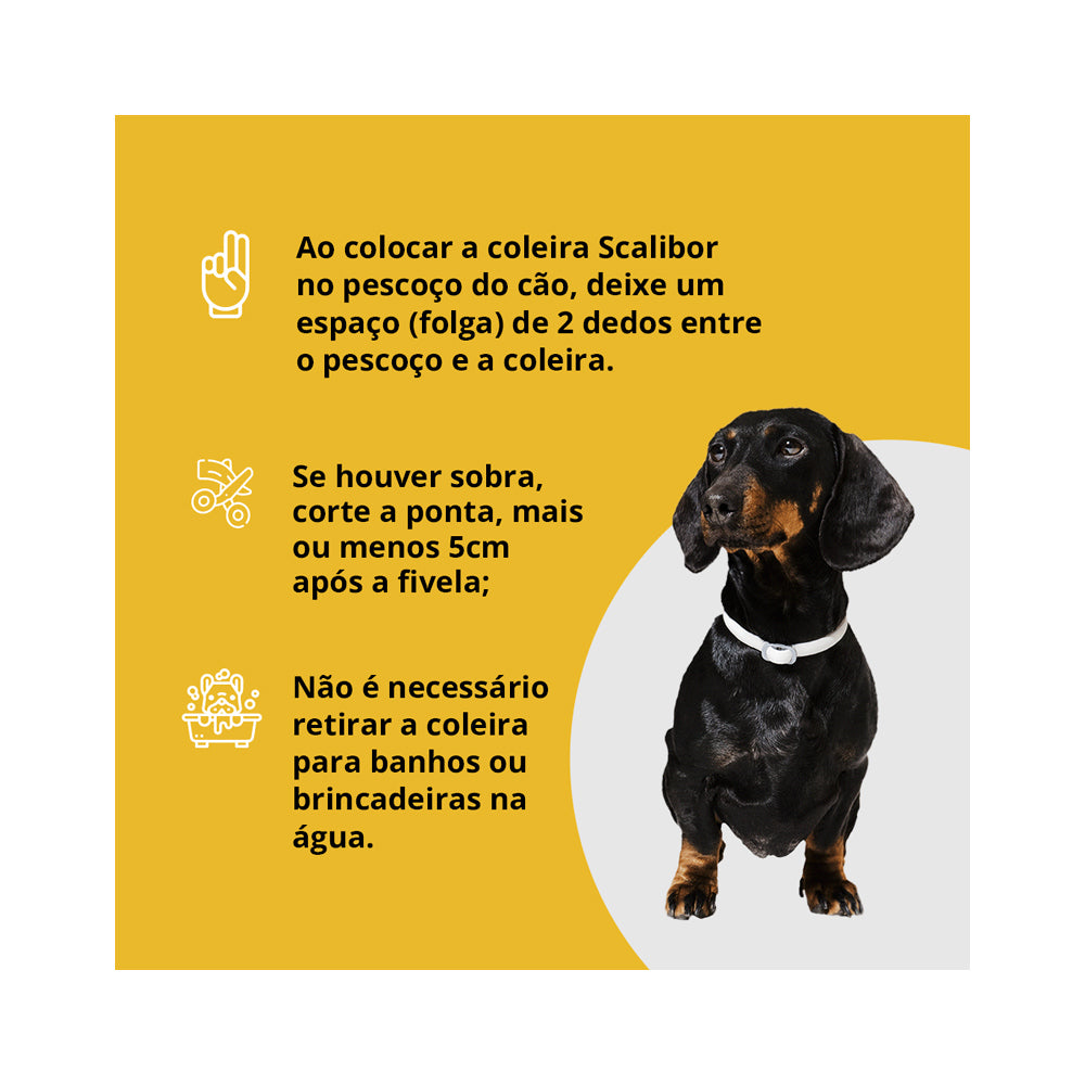 Coleira Antiparasitas Scalibor MSD