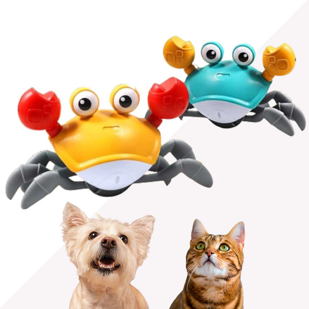 Brinquedo Caranguejo Elétrico