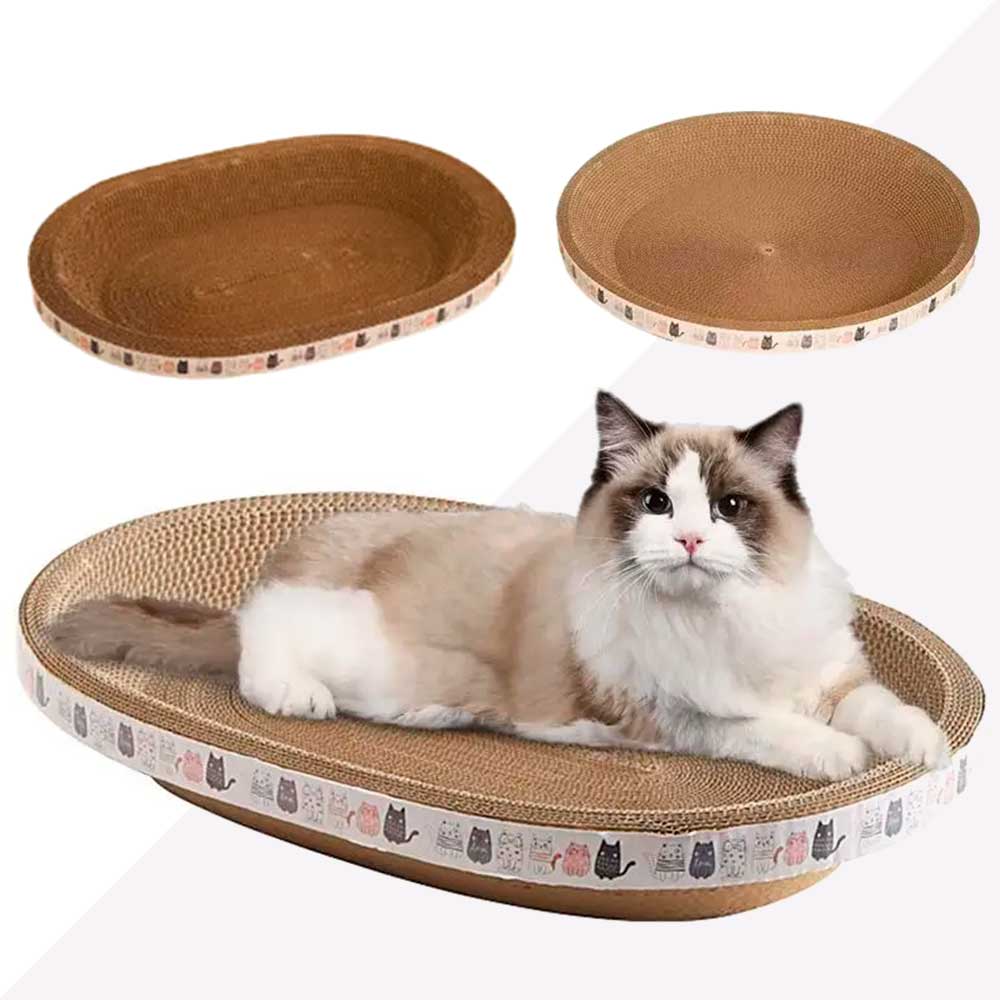 Cama Arranhador Ecológico Para Gato