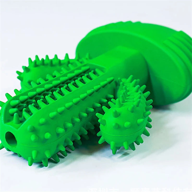 Cacto Mordedor Limpa Dente para Cão