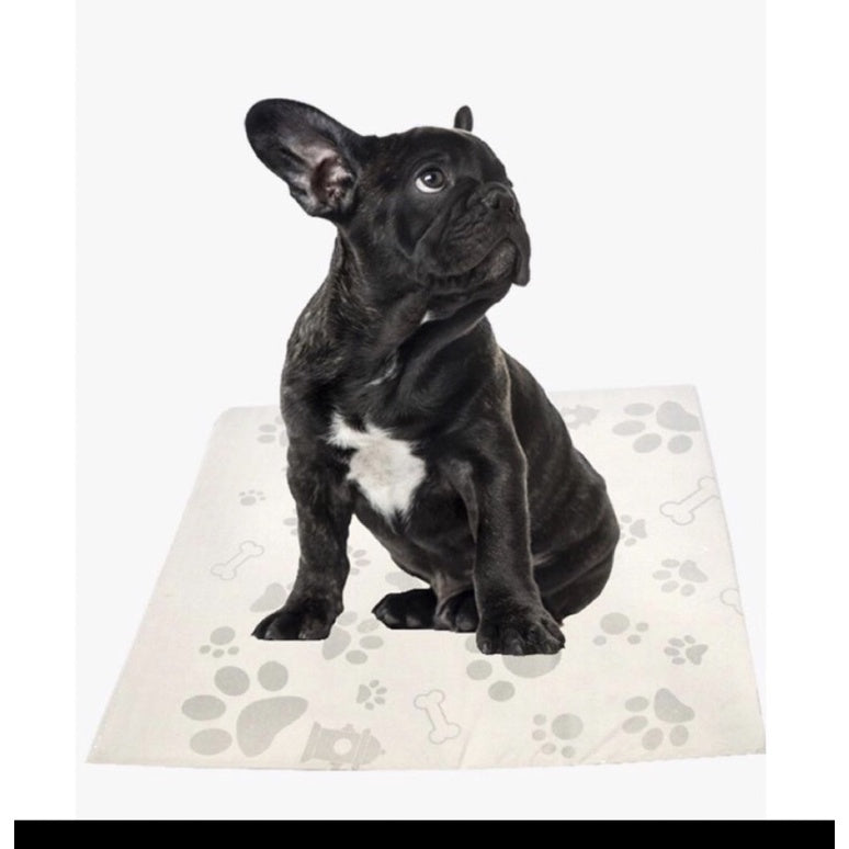 Jornal Pet 1kg 🇧🇷