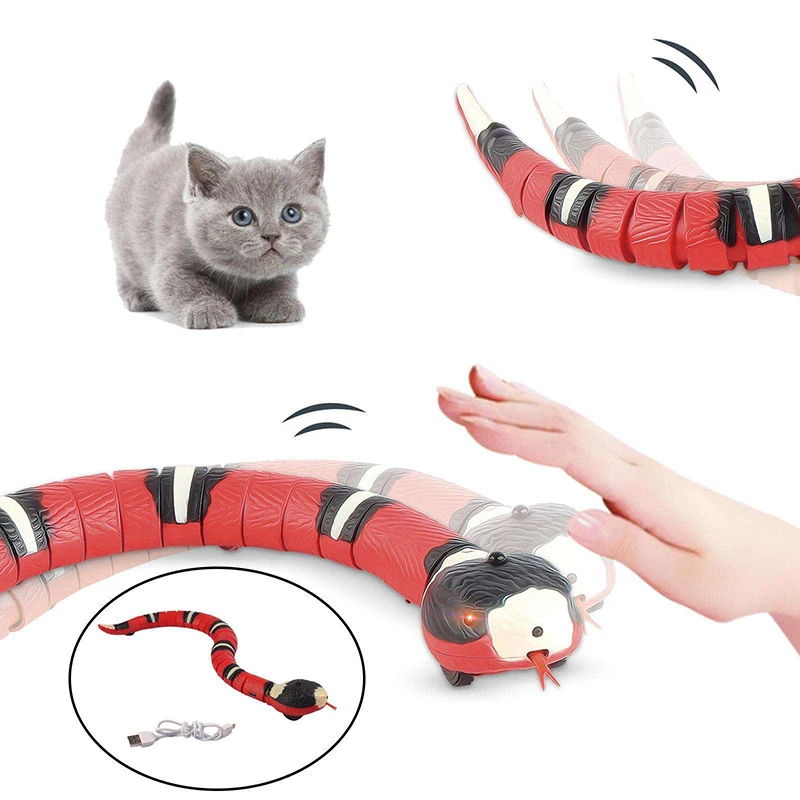 Cobra Inteligente para Gatos