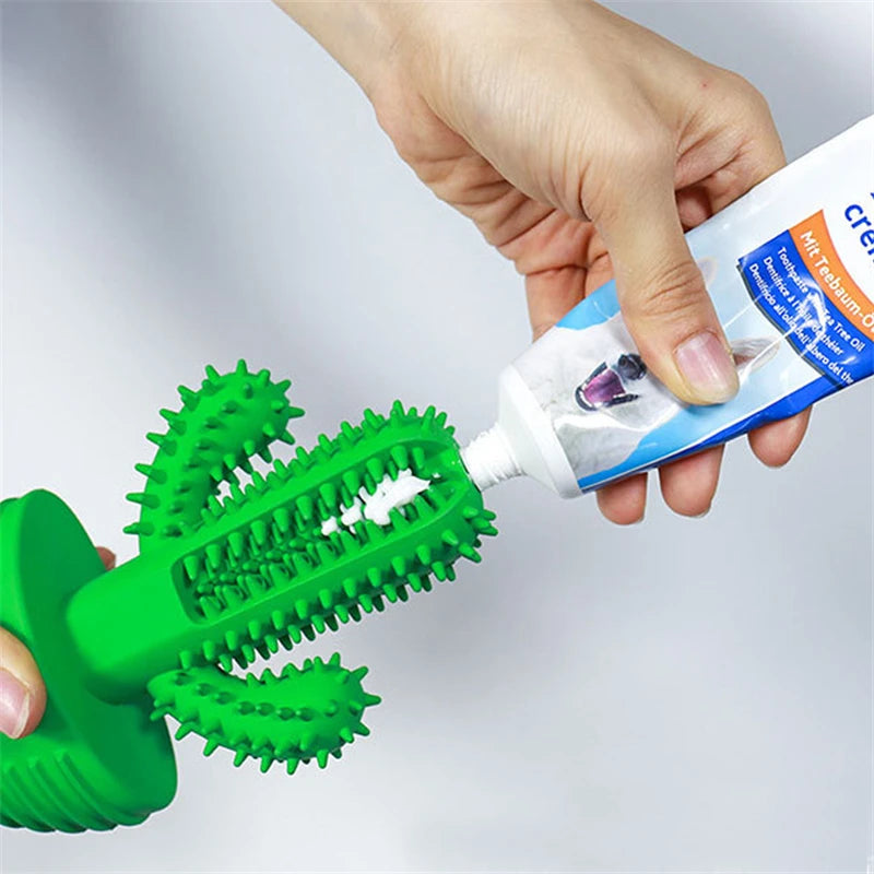 Cacto Mordedor Limpa Dente para Cão