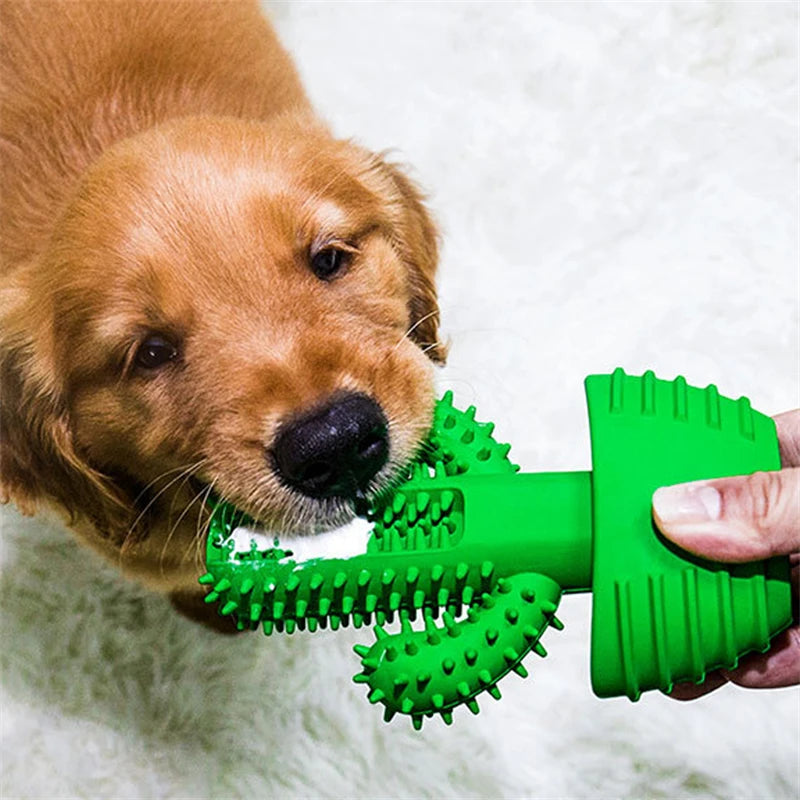 Cacto Mordedor Limpa Dente para Cão