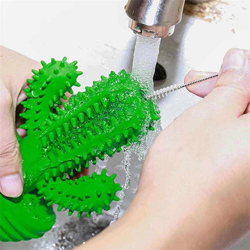 Cacto Mordedor Limpa Dente para Cão
