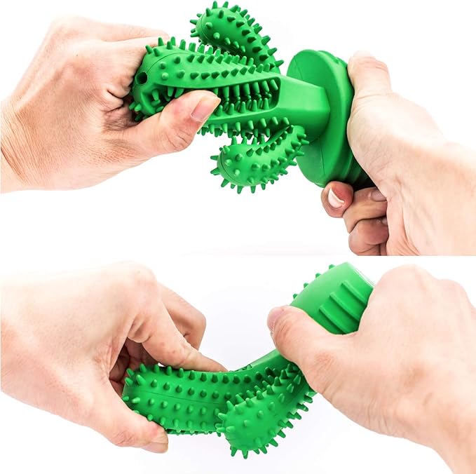Cacto Mordedor Limpa Dente para Cão