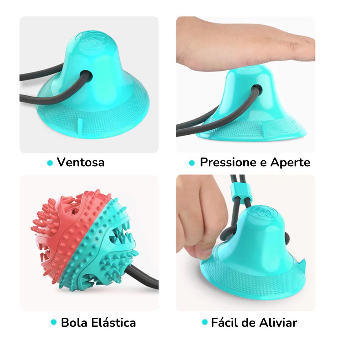 Bola Interativa com Ventosa e Compartimento para Petiscos