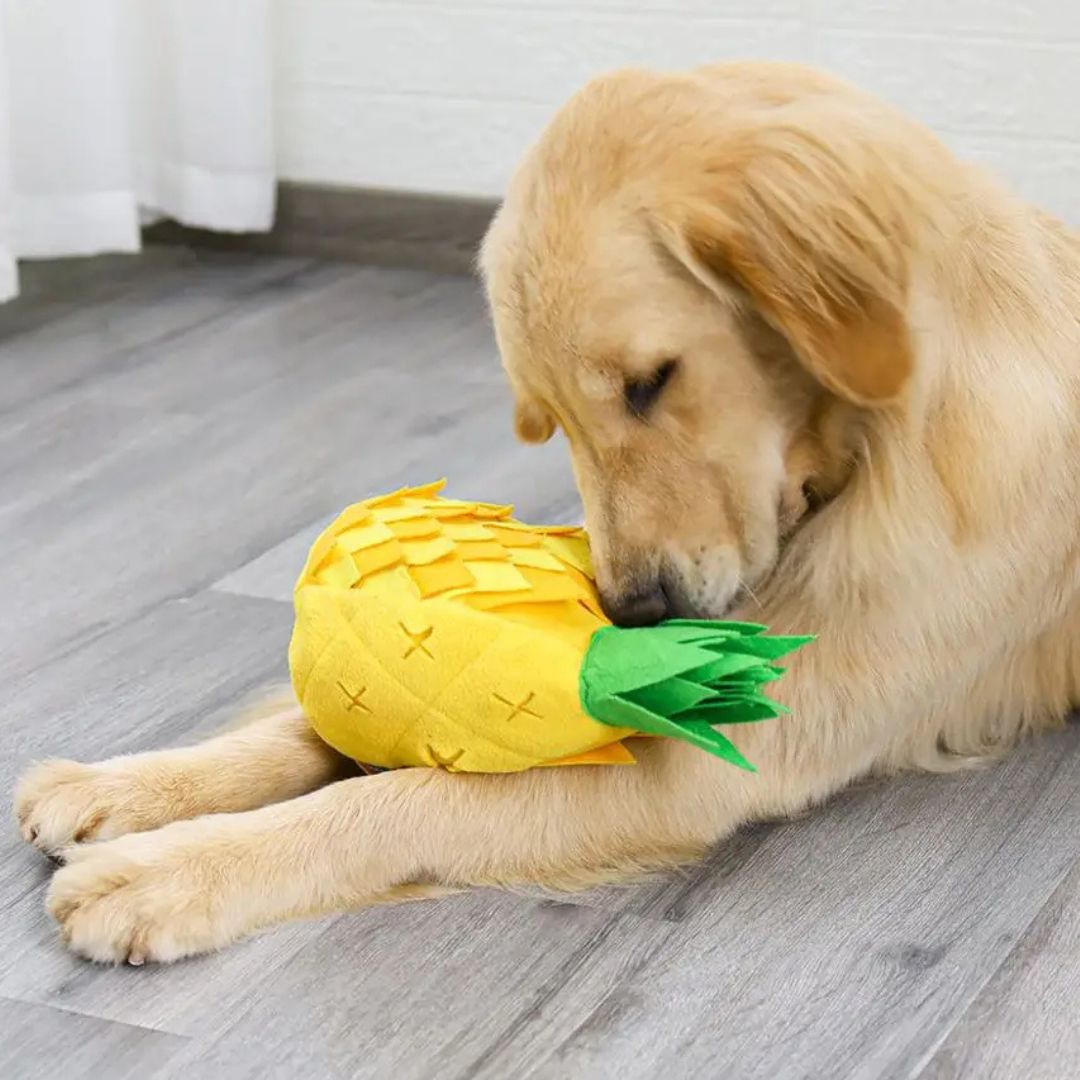 Abacaxi Porta Petiscos