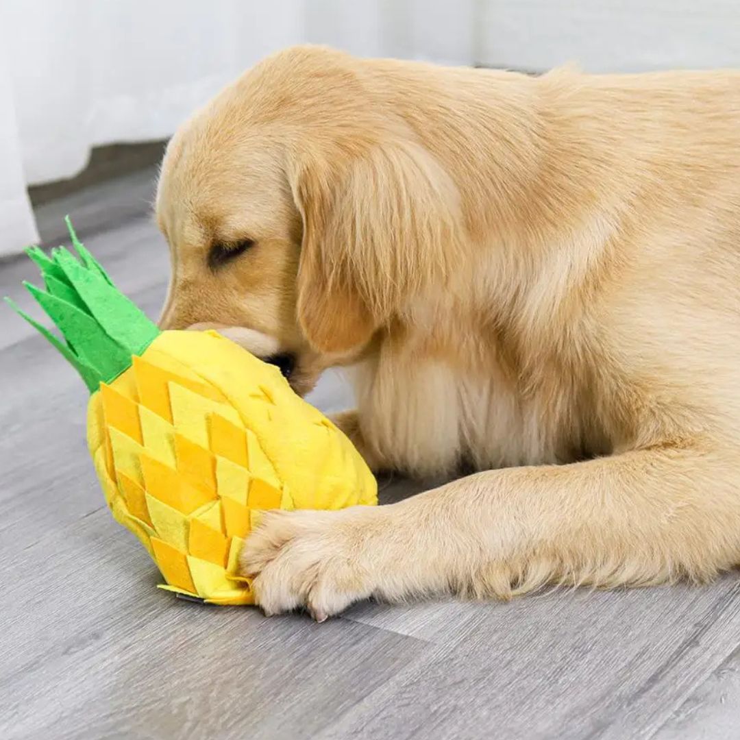 Abacaxi Porta Petiscos