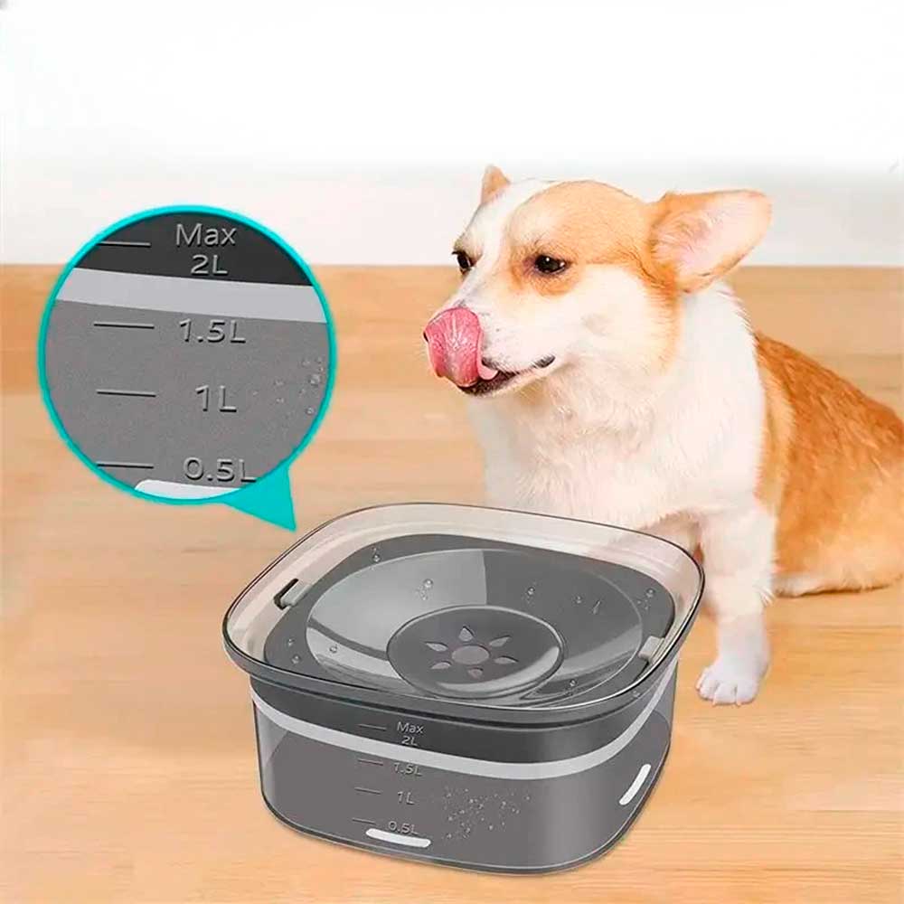 Bebedouro Cão Inteligente