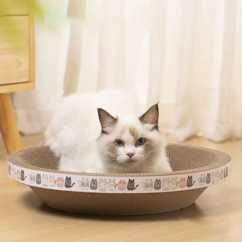 Cama Arranhador Ecológico Para Gato