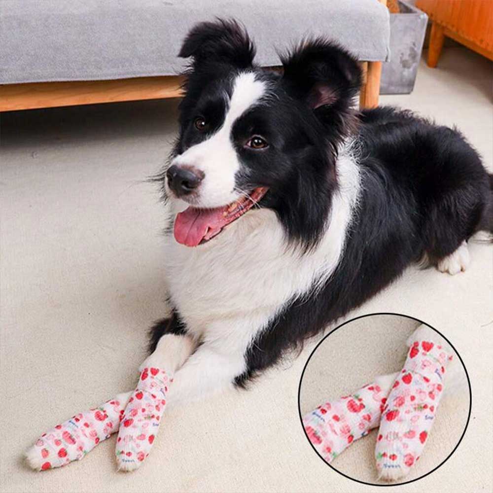 Bandagem Pet Elástica Autoaderente