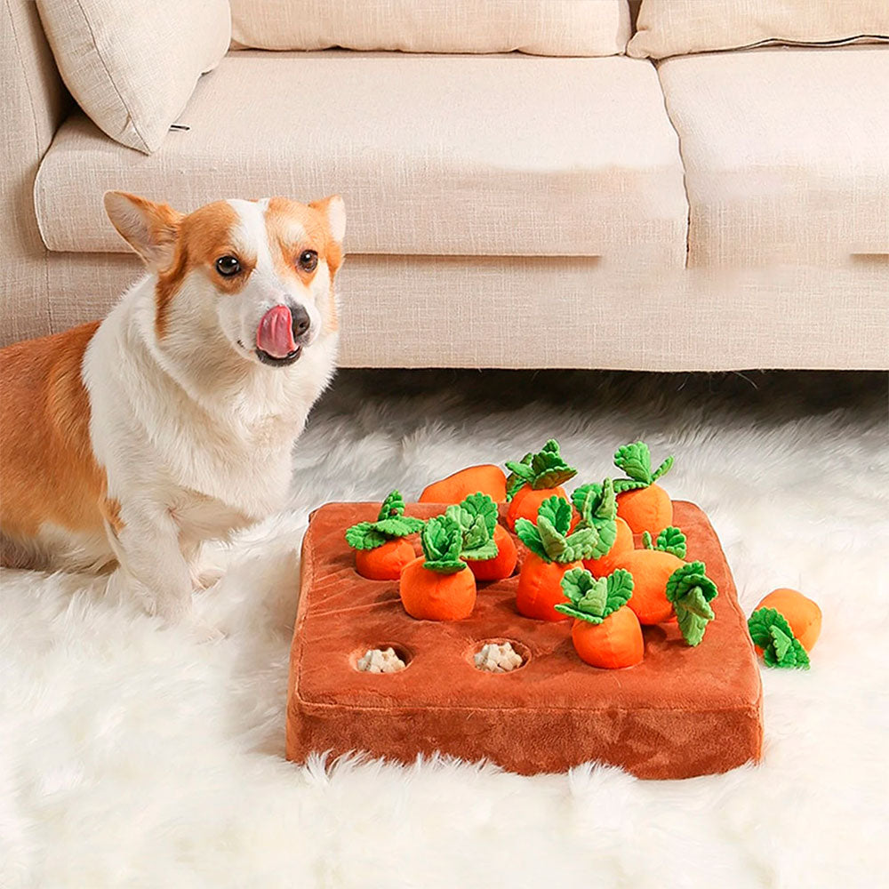 Brinquedo Pet Interativo Cenourinha