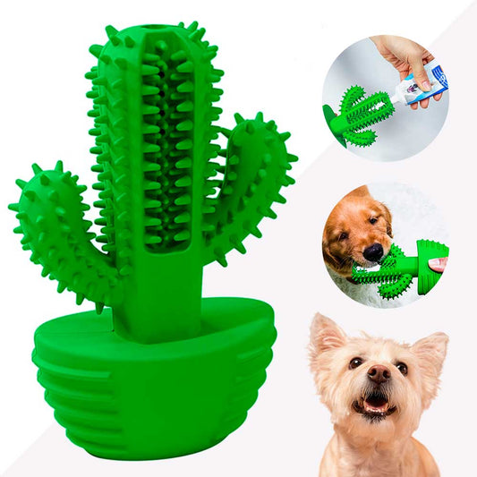 Cacto Mordedor Limpa Dente para Cão