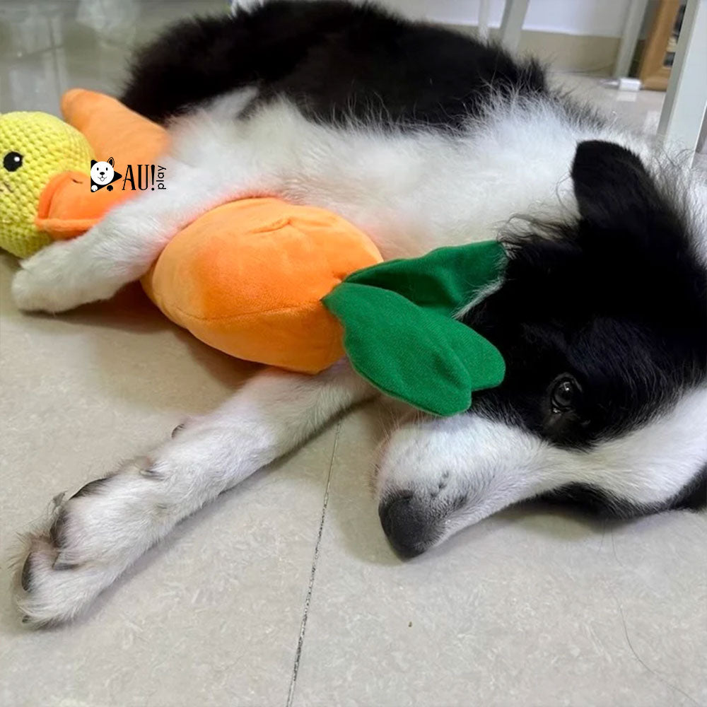 Cenoura Calmante de Pelúcia