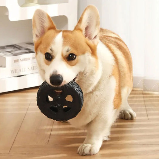 Pneu Porta Petiscos Pet