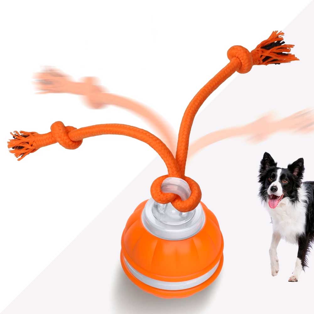 Bola Maluca Brinquedo Interativo para Cão