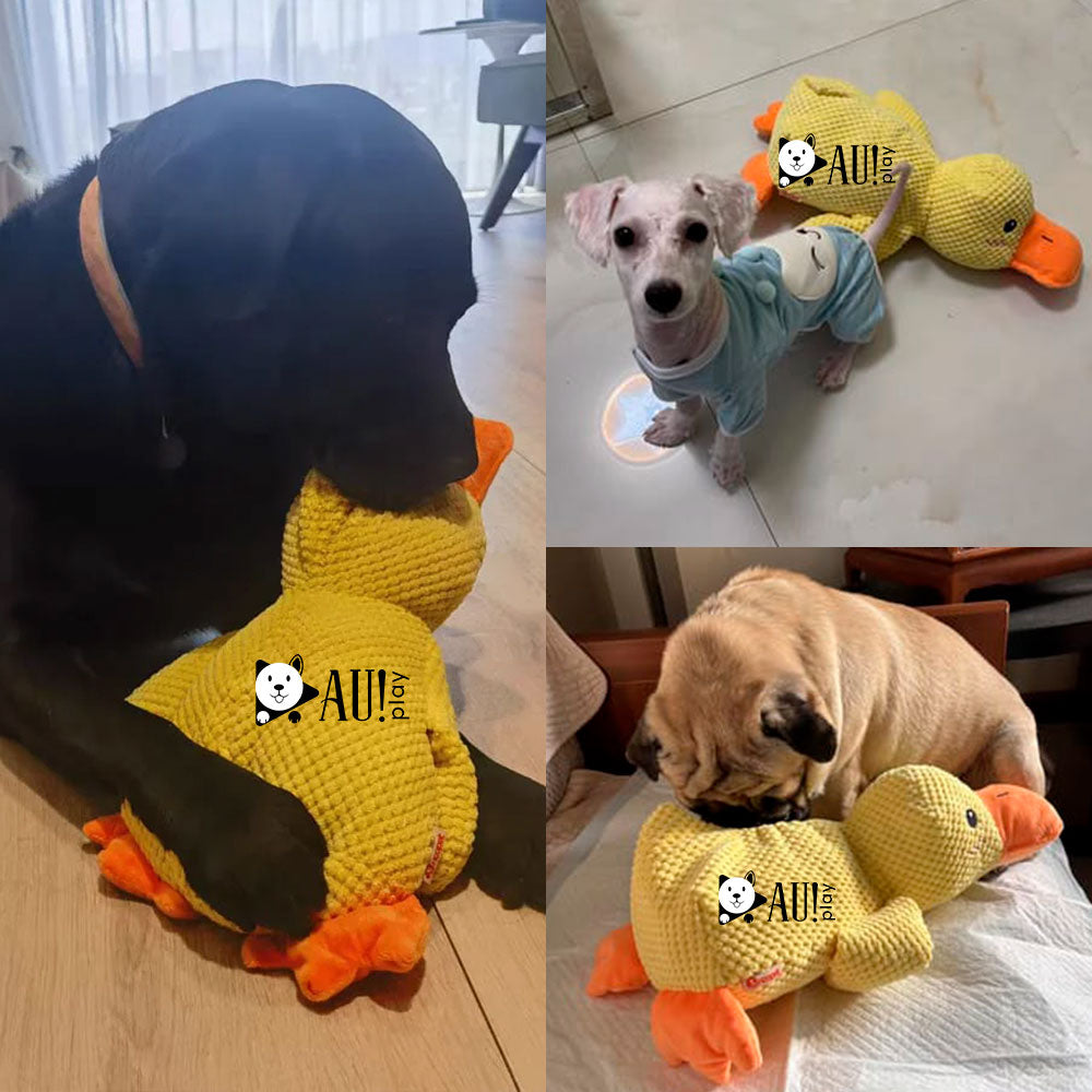 Pelúcia Pato Amigo Original