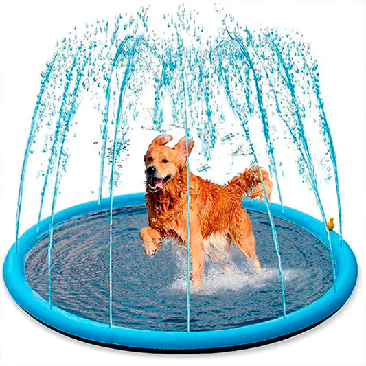 Piscina para Cachorro Chafariz
