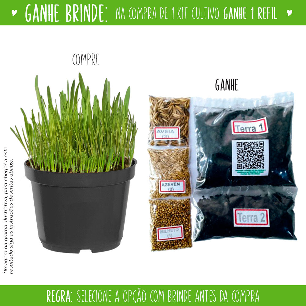 Kit Graminha Orgânica Digestiva para Cultivo  🇧🇷