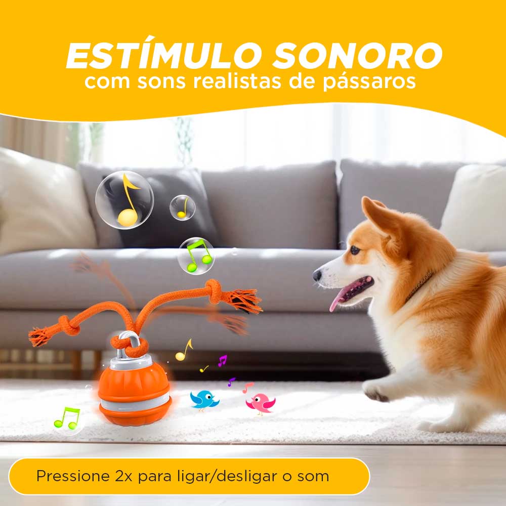 Bola Maluca Brinquedo Interativo para Cão