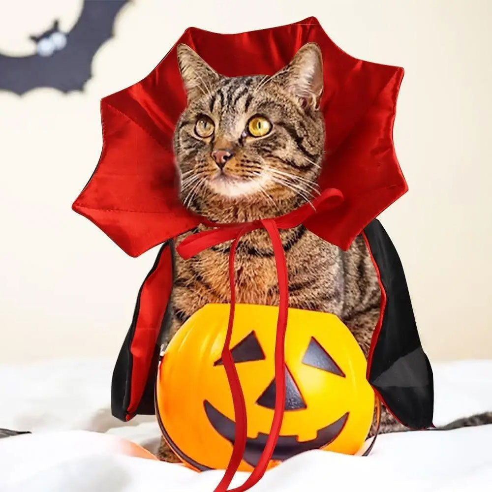 Fantasia de Drácula para Gato