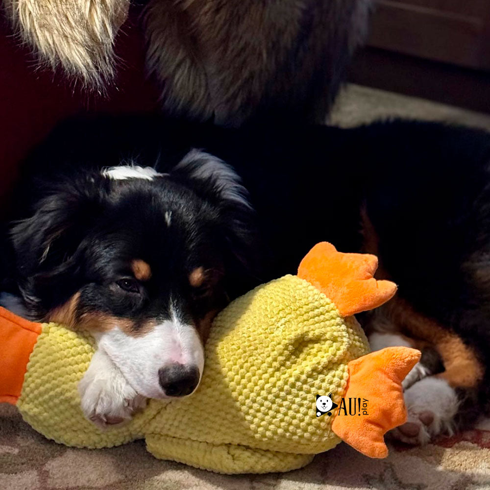 Pelúcia Pato Amigo Original