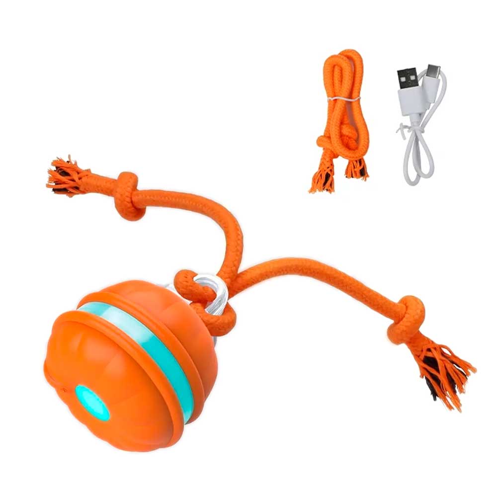 Bola Maluca Brinquedo Interativo para Cão