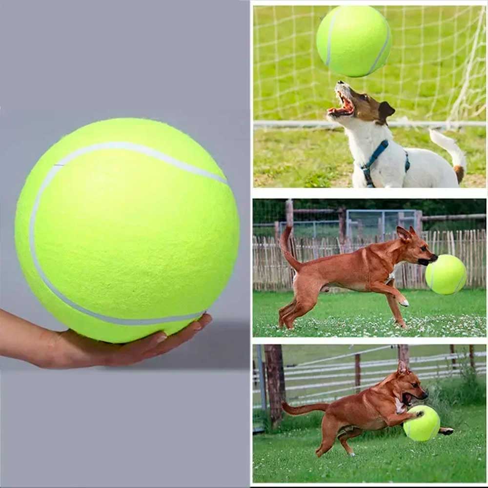 Big Tennis Brinquedo Resistente para cão