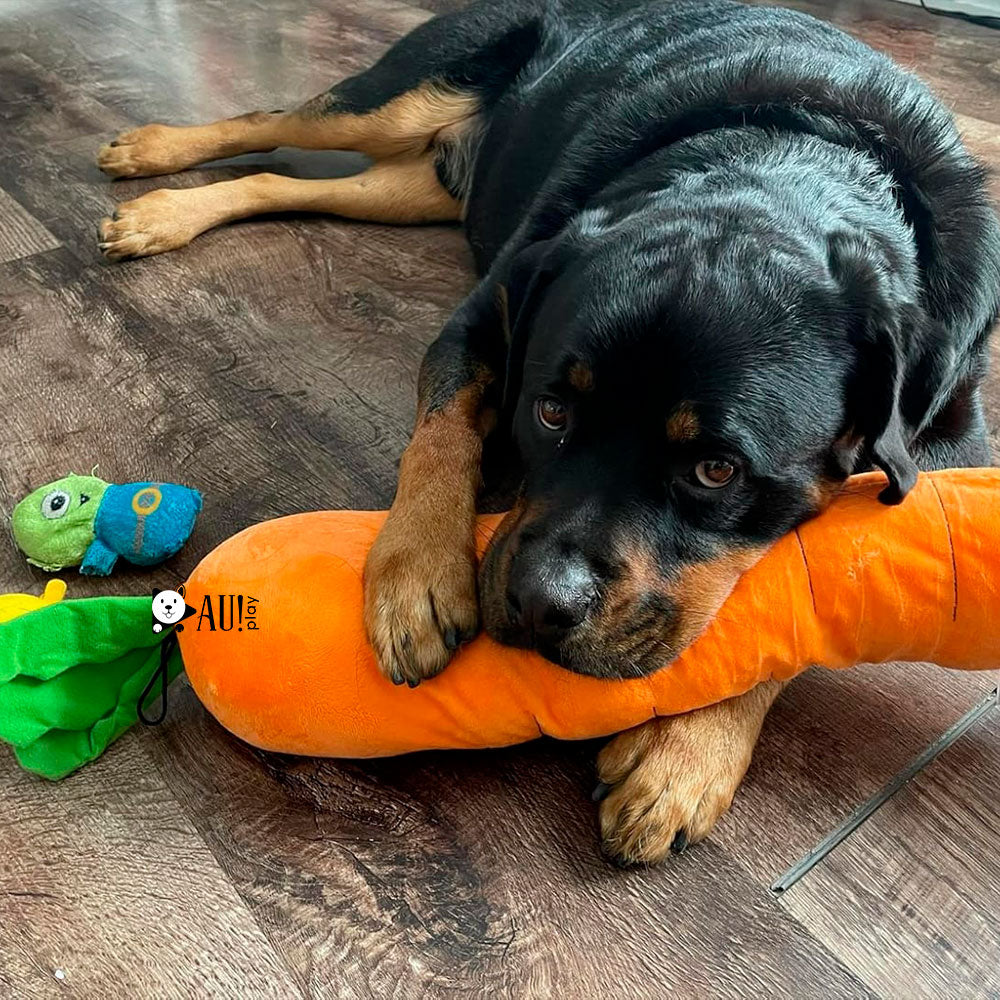 Cenoura Calmante de Pelúcia