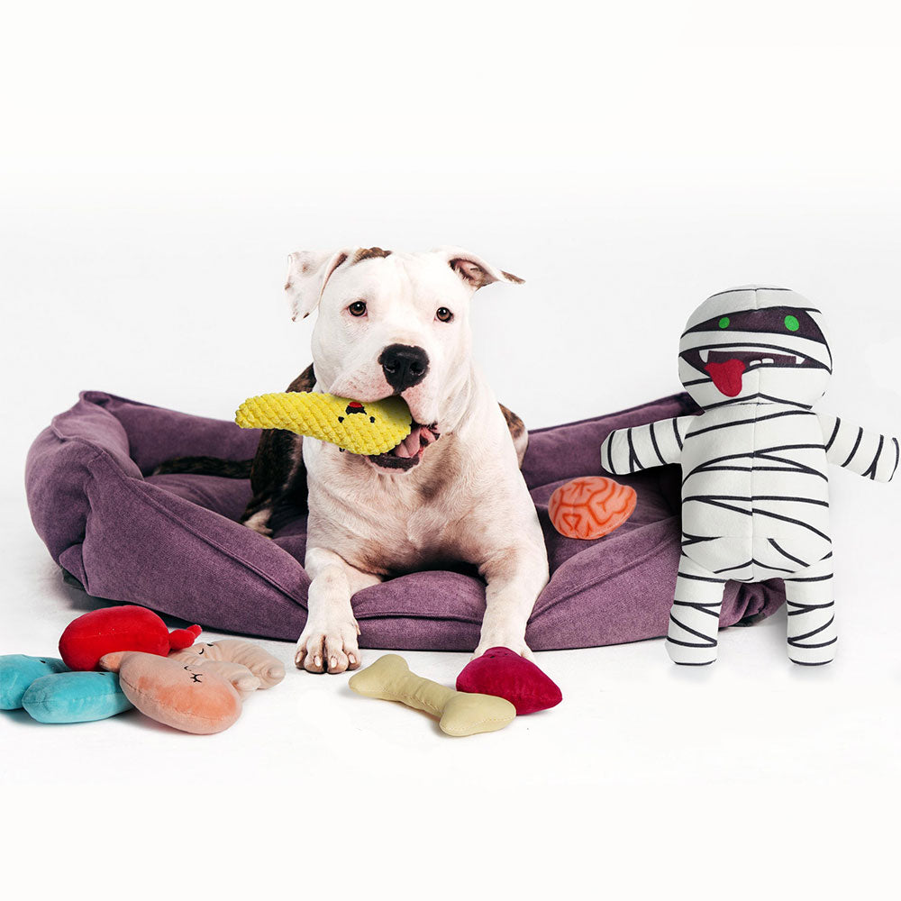 Pelúcia 9 em 1 Múmia Mágica