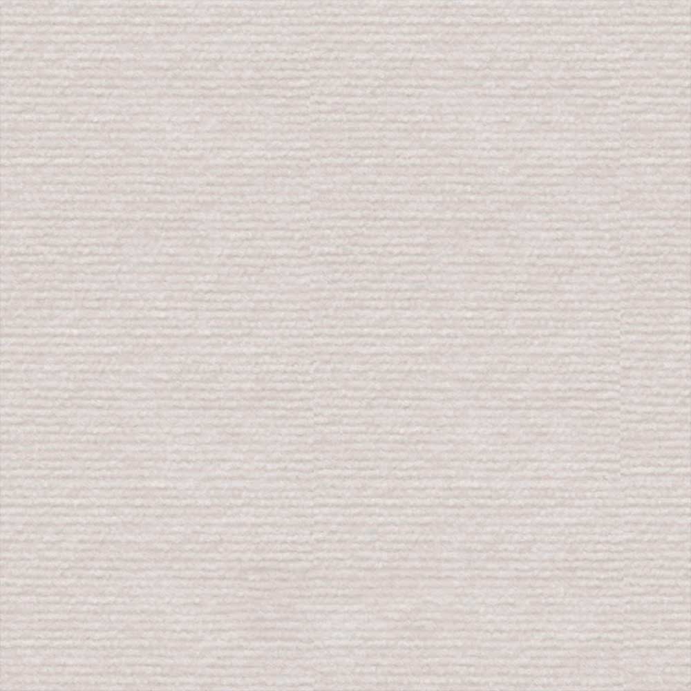 Carpete Adesivo Protetor Arranhador para Gatos