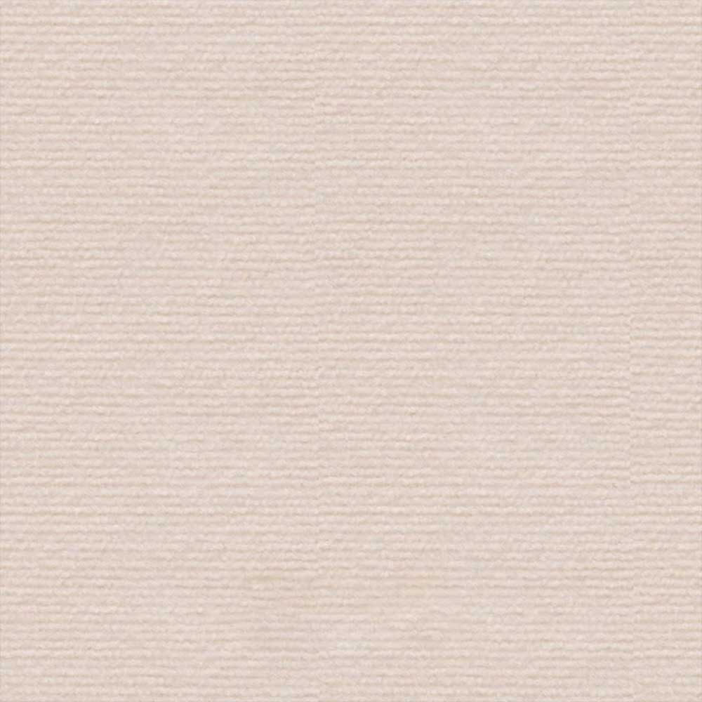 Carpete Adesivo Protetor Arranhador para Gatos