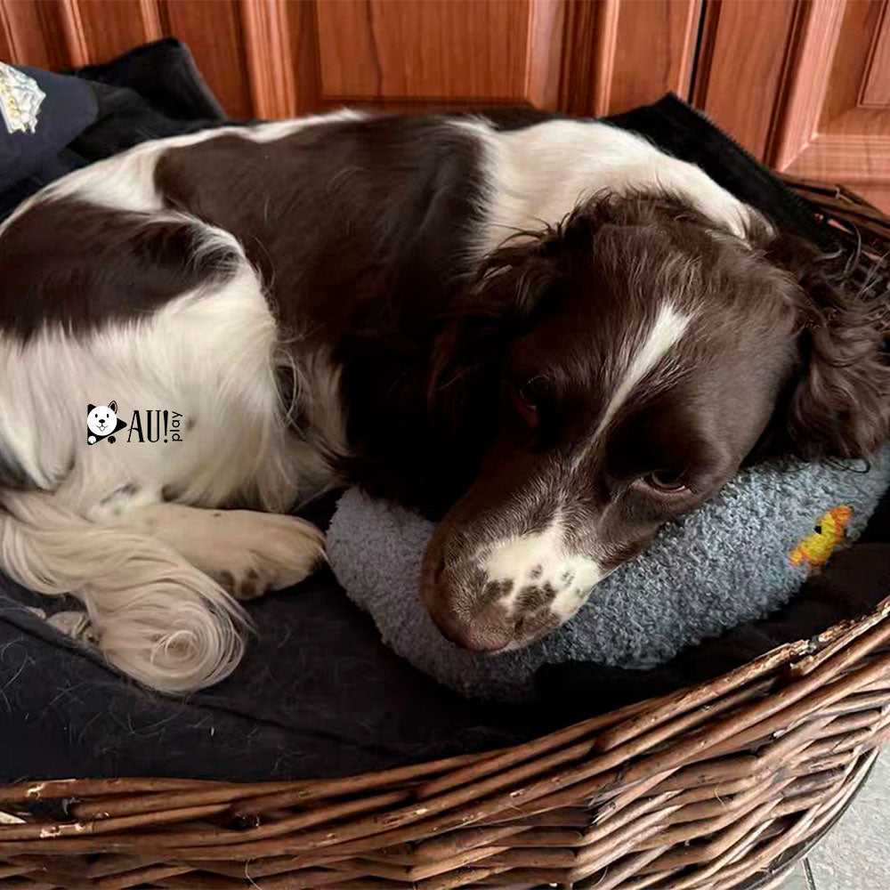 Travesseiro Calmante Pet