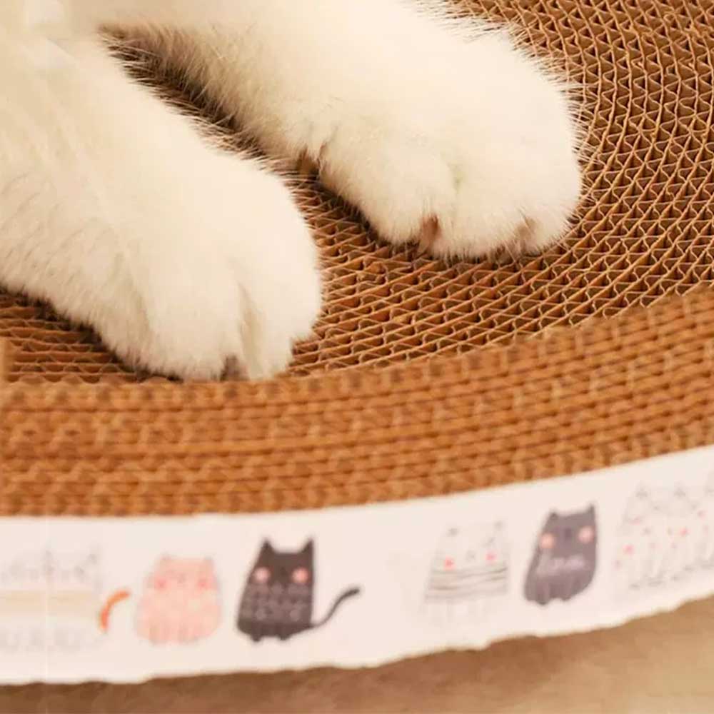 Cama Arranhador Ecológico Para Gato