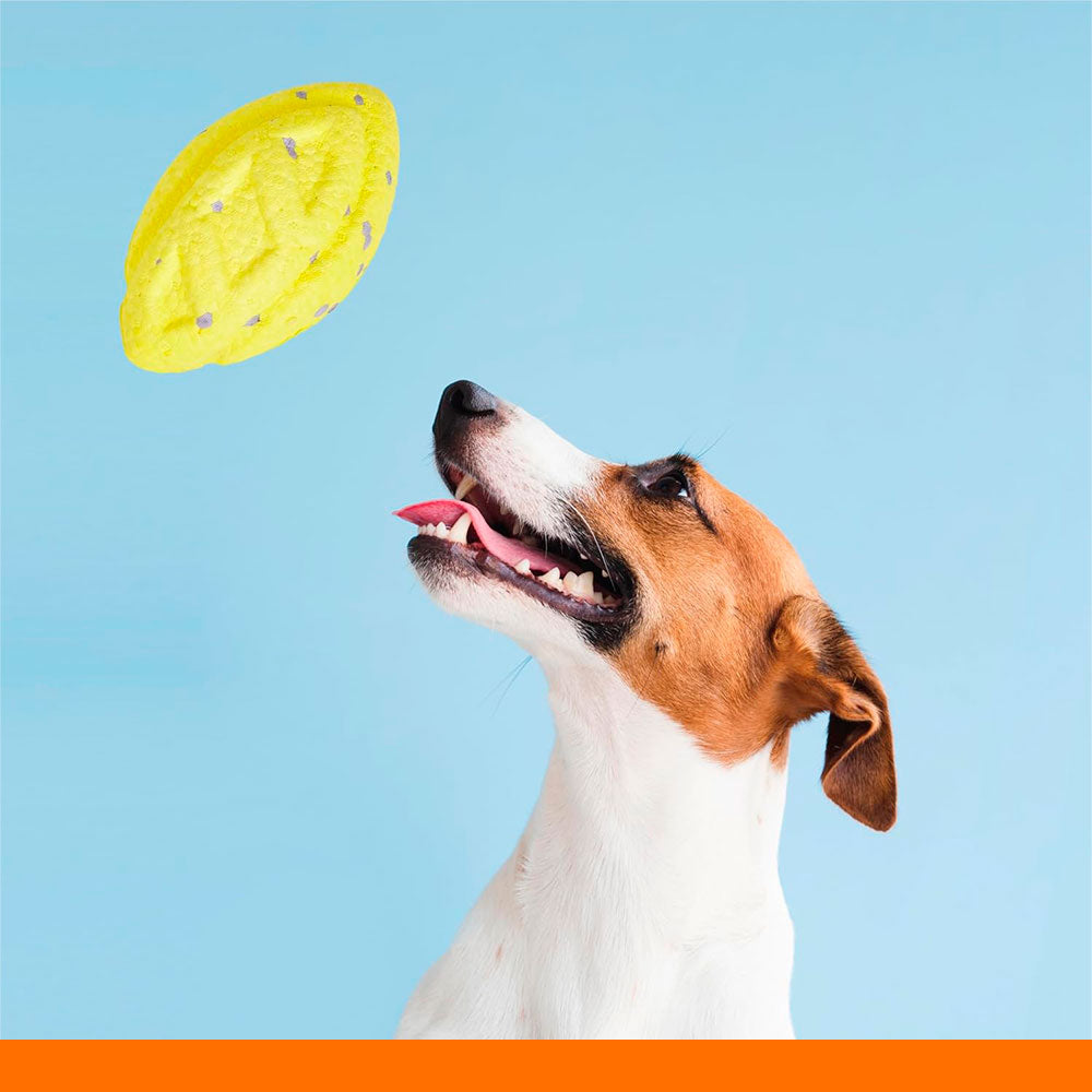 Coleção Strong Rugby Pet Ball