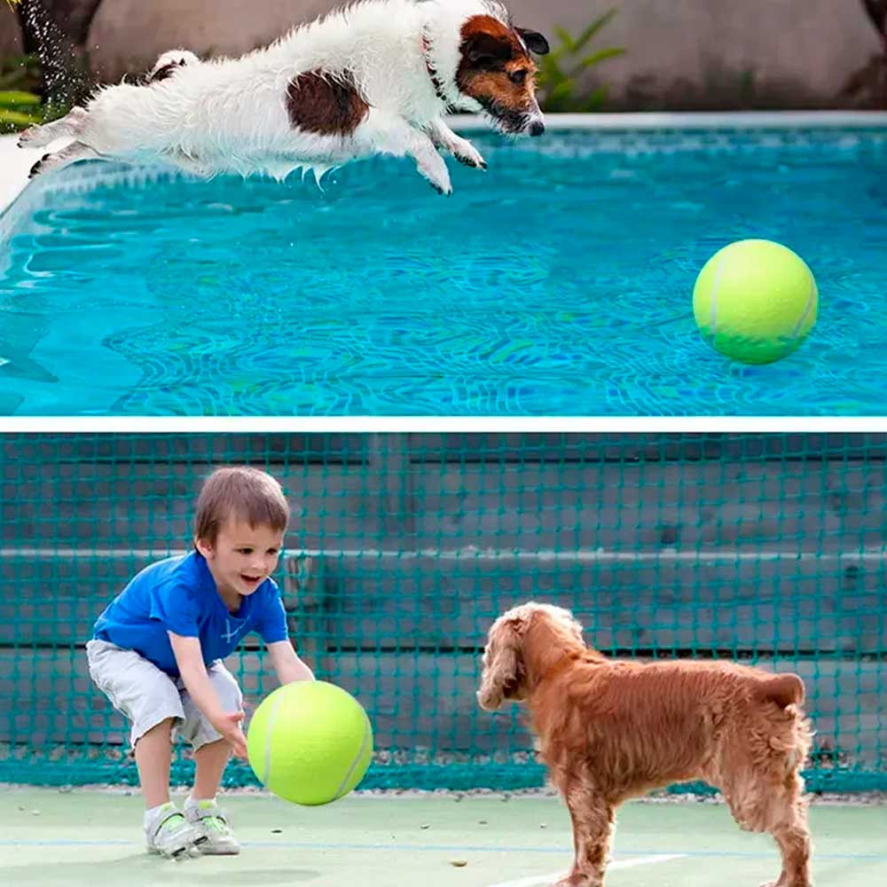 Big Tennis Brinquedo Resistente para cão