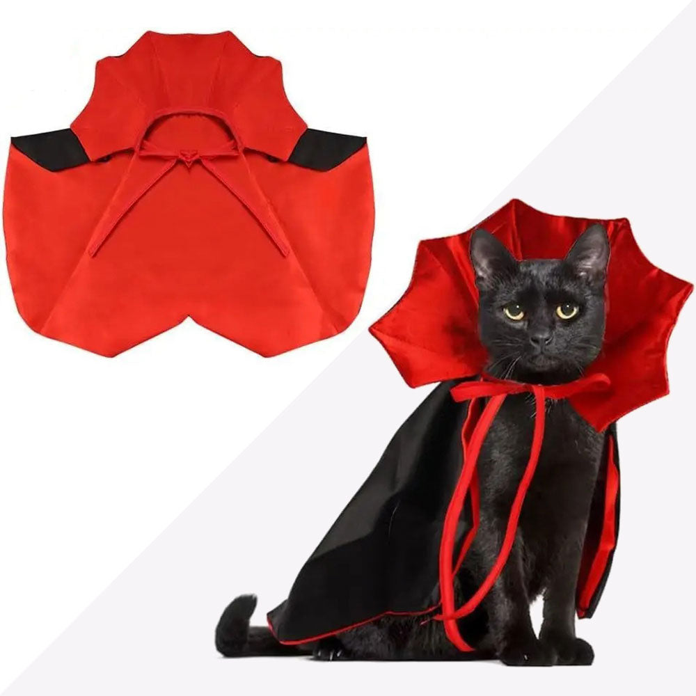 Fantasia de Drácula para Gato
