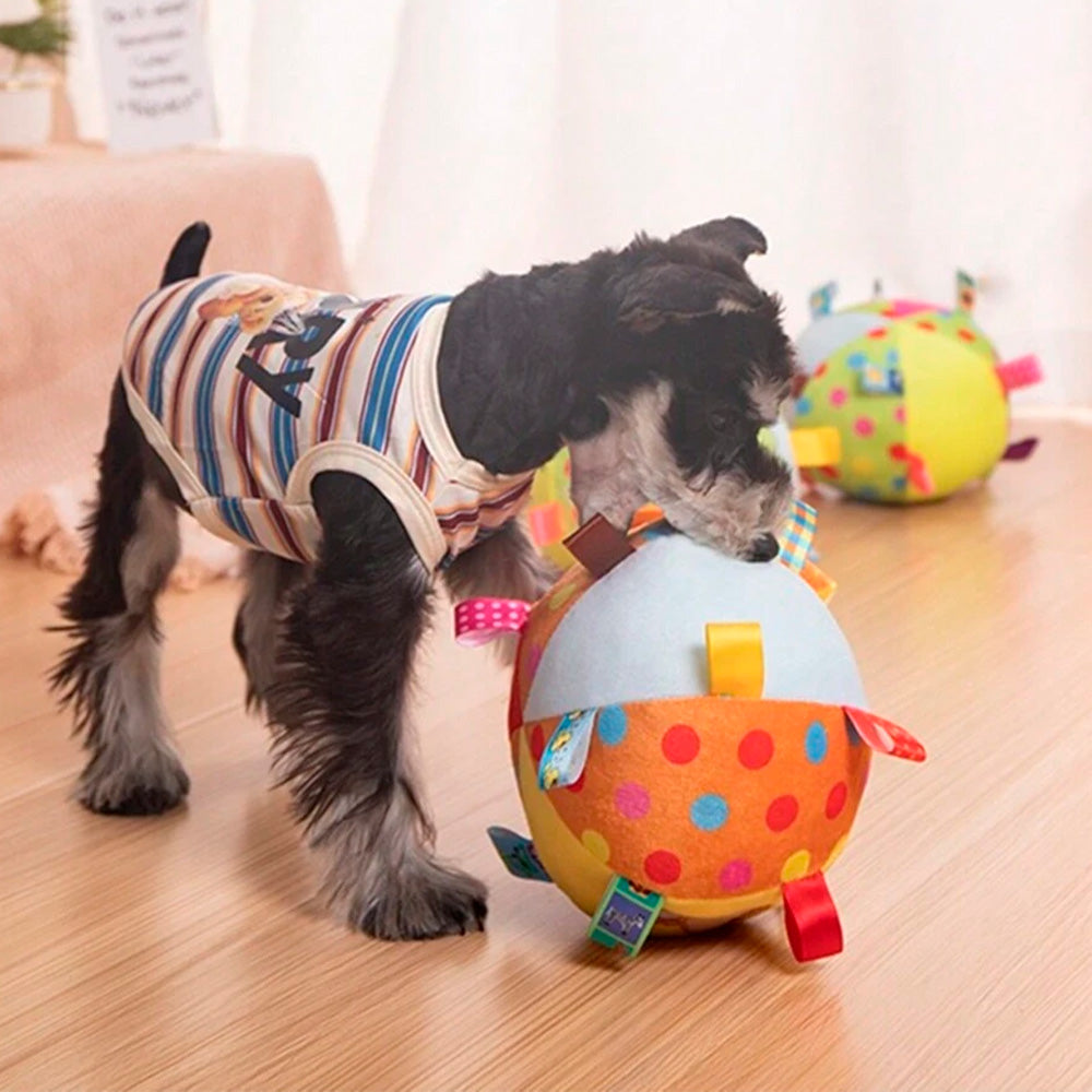 Bola Divertida de Pelúcia