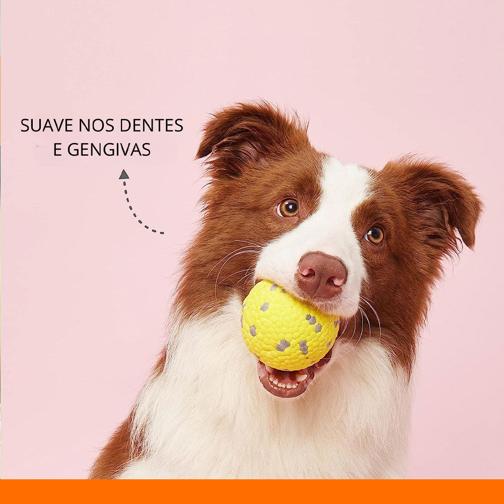 Bola Anti-Stress Pet Coleção Strong