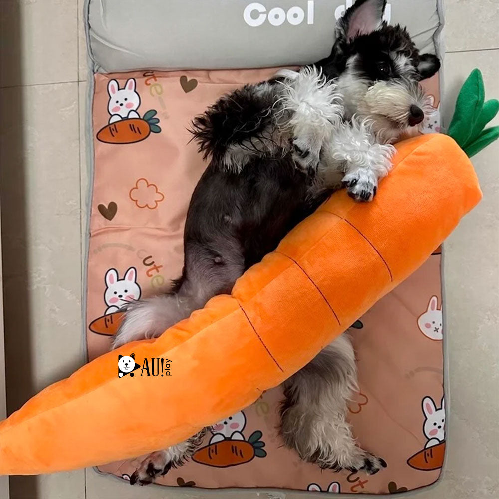 Cenoura Calmante de Pelúcia