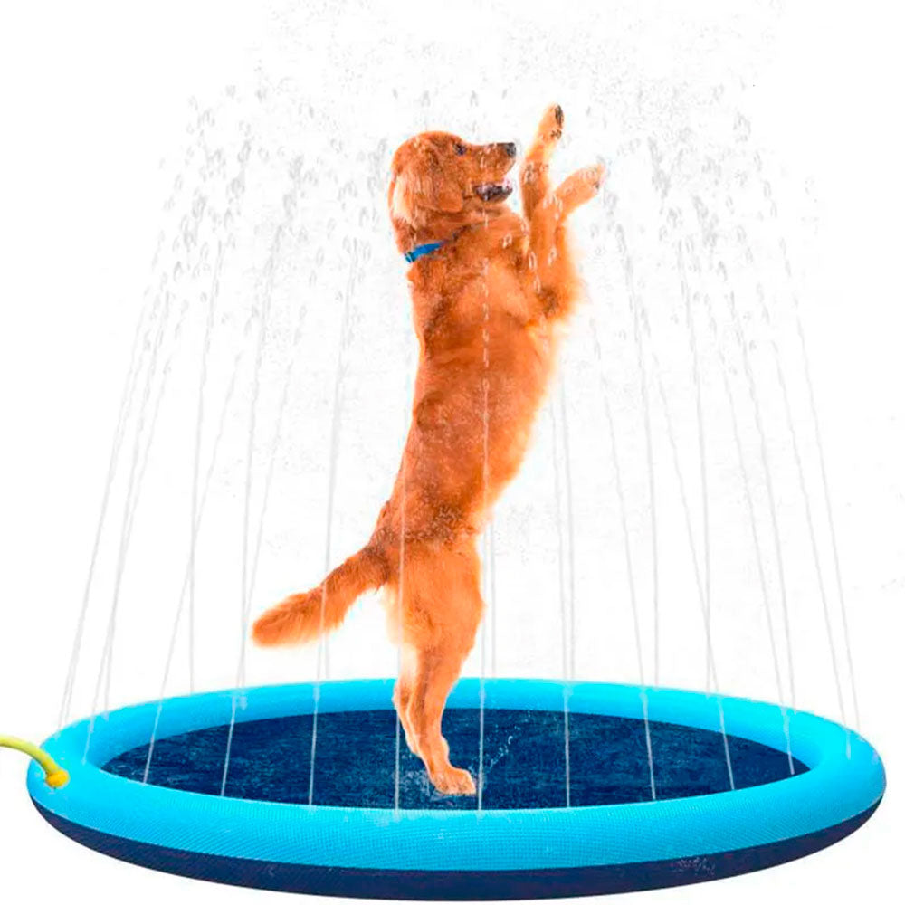 Piscina para Cachorro Chafariz