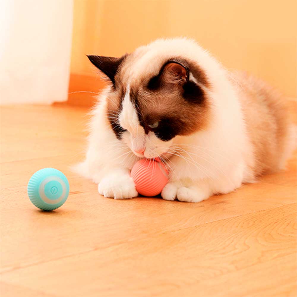 Bola Inteligente Para Gatos 🇧🇷