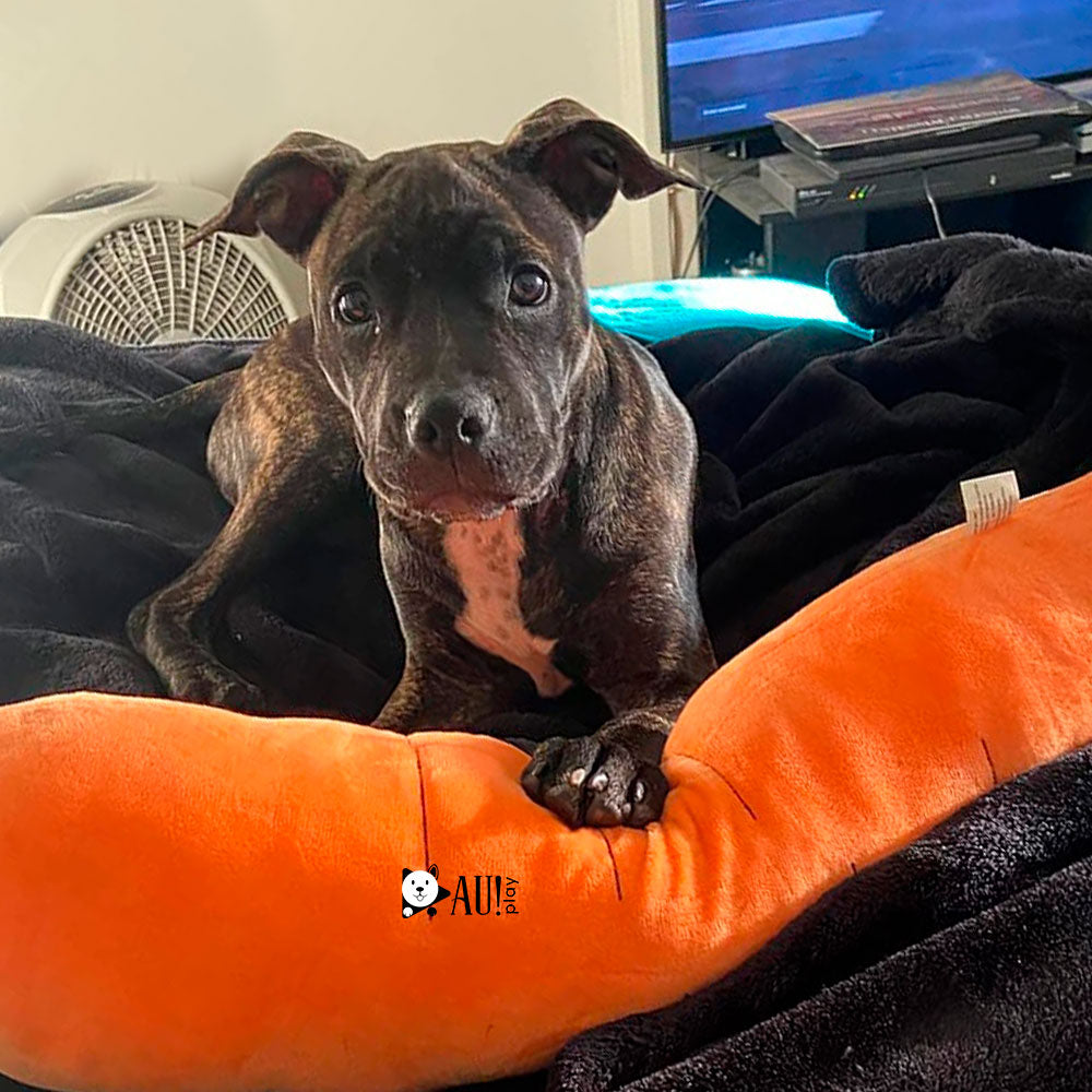 Cenoura Calmante de Pelúcia