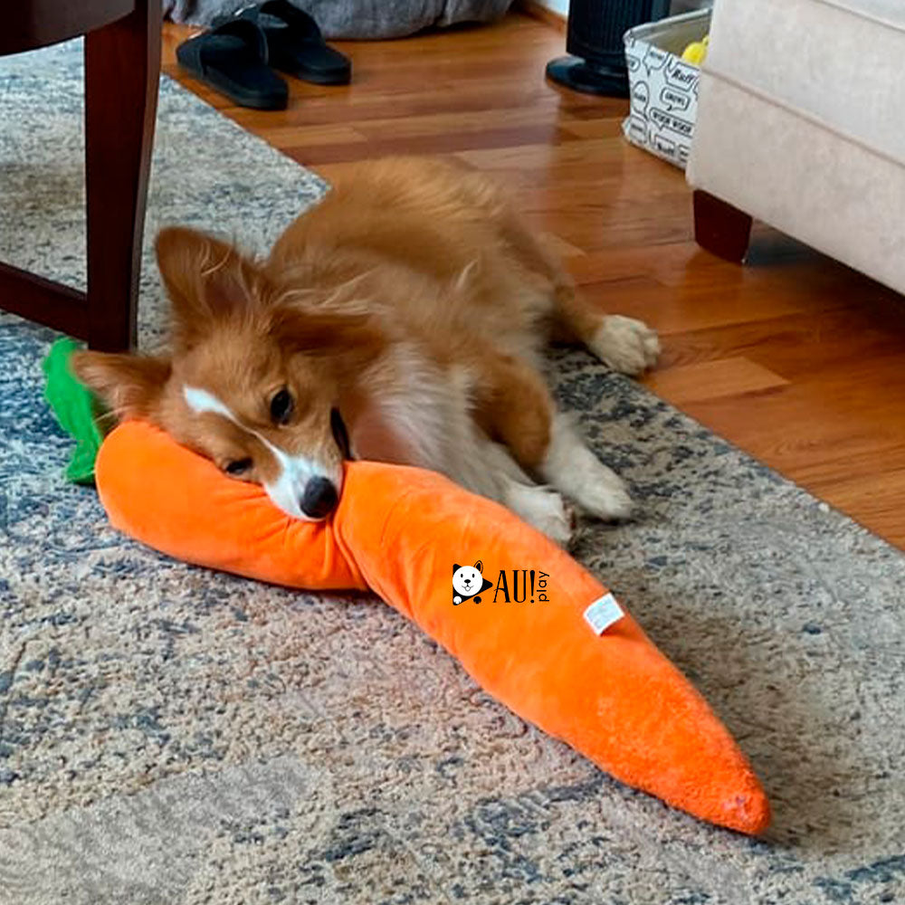 Cenoura Calmante de Pelúcia