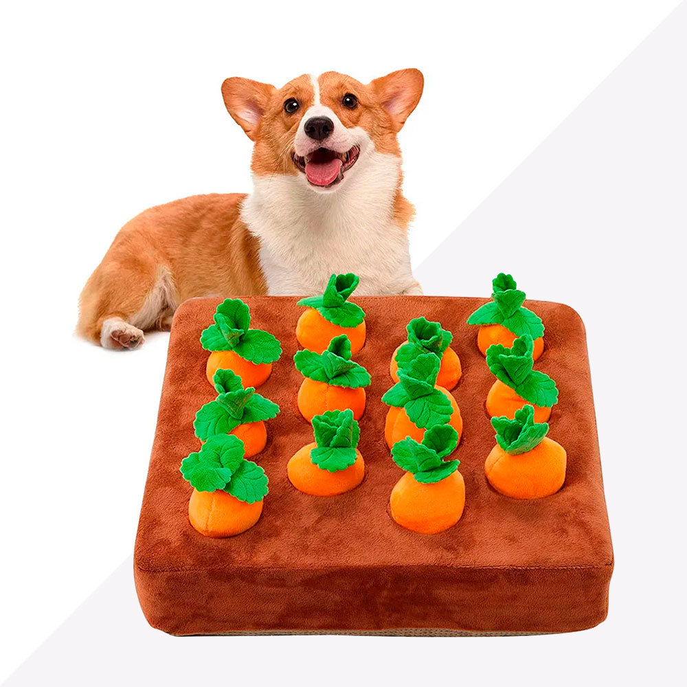 Brinquedo Pet Interativo Cenourinha