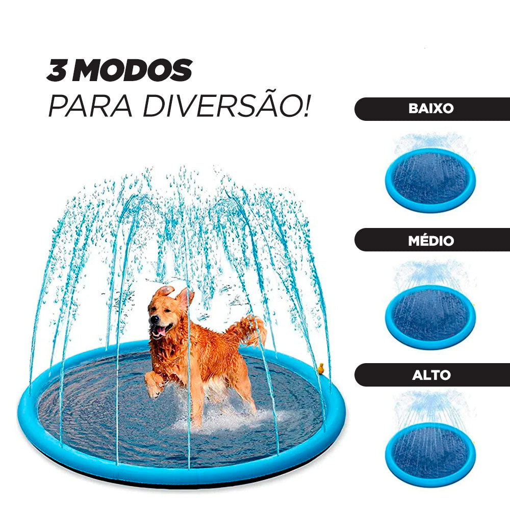 Piscina para Cachorro Chafariz