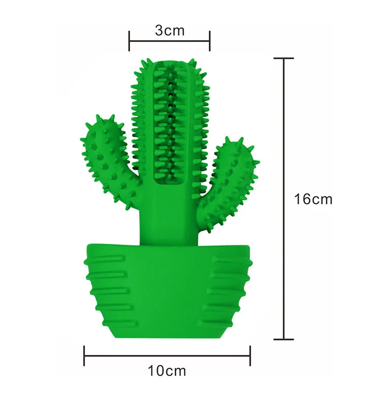 Cacto Mordedor Limpa Dente para Cão