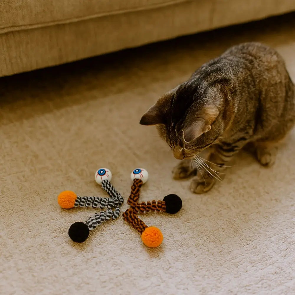 Olho Maluco Cat Halloween